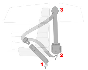 3 Point Lap Seat Belts