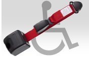 Occupant Restraints