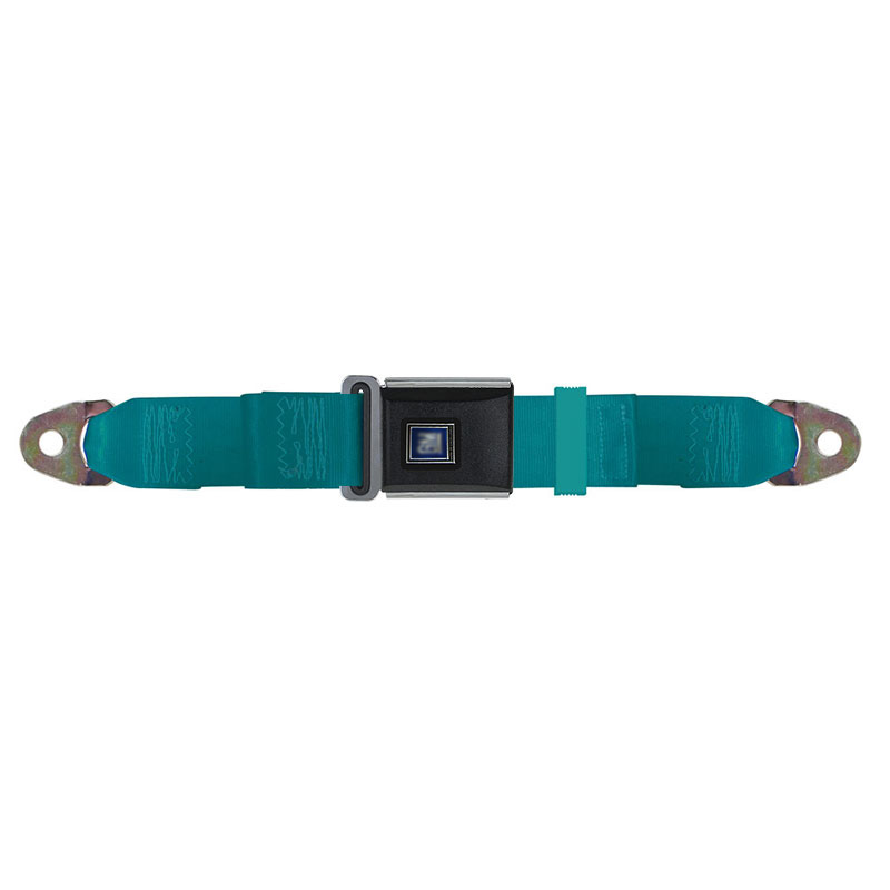 Blue Plastic Belt Button