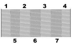 Seat Belt 7 Panel Polypropylene Webbing 